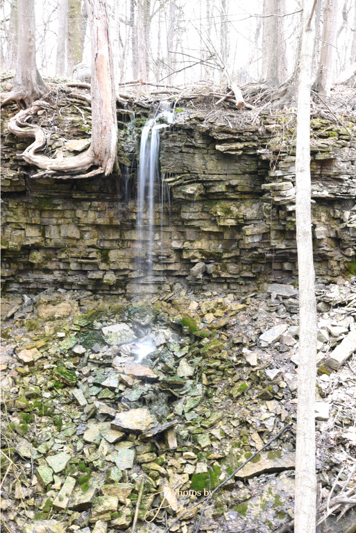 Brown's Falls