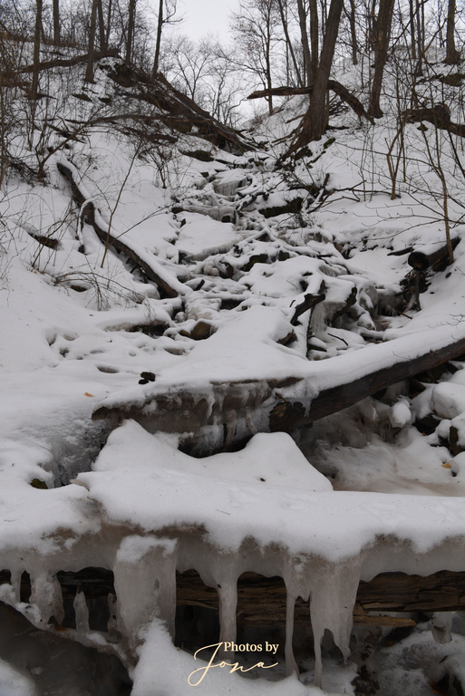 East of Fifty Falls