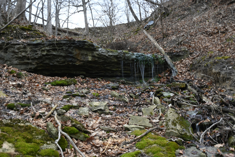 Lewis Rd. West Falls