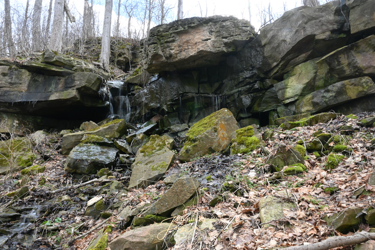 McNeilly West Falls