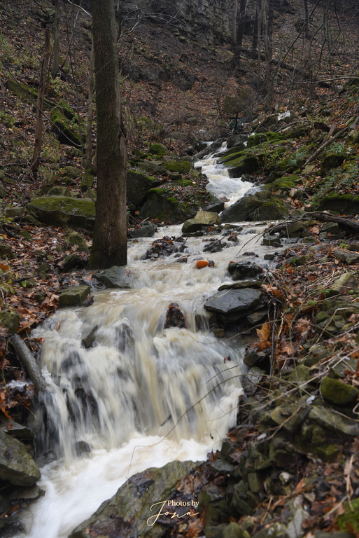 Lower Sanatorium Cascade