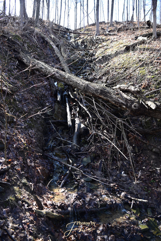Fifty Road Cascade
