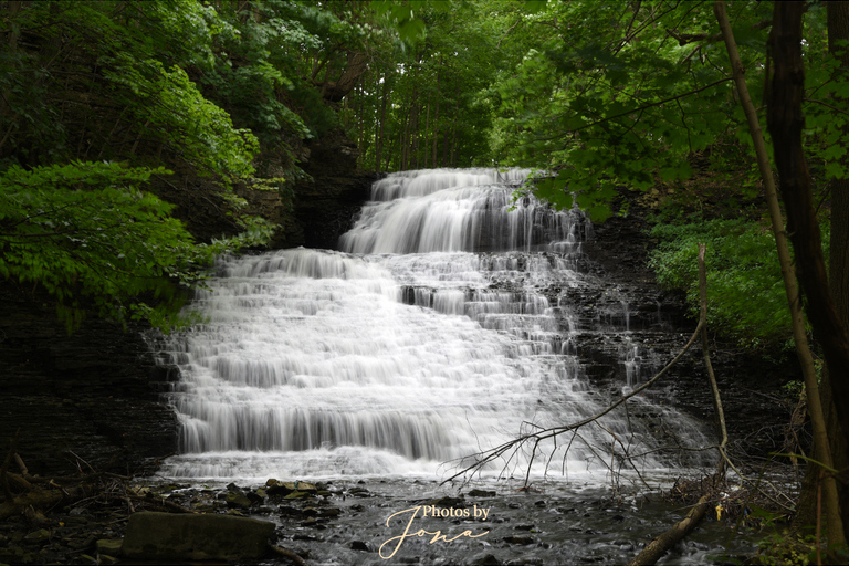 Stephanie Falls