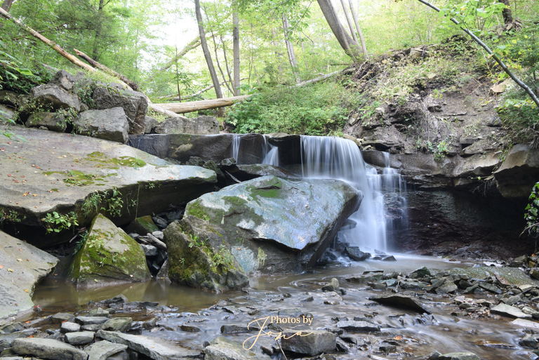 Lower Borer's Falls