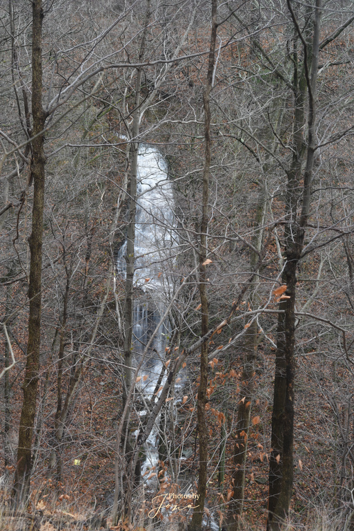 Scenic Falls