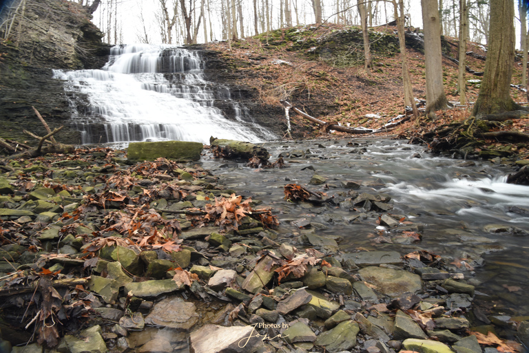 Stephanie Falls