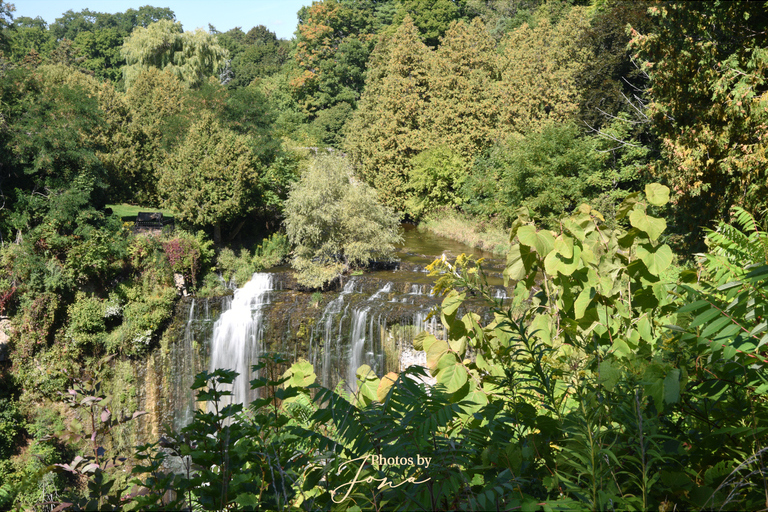 Webster's Falls
