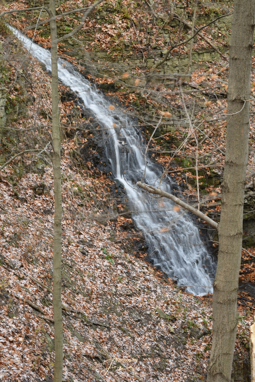 Scenic Falls