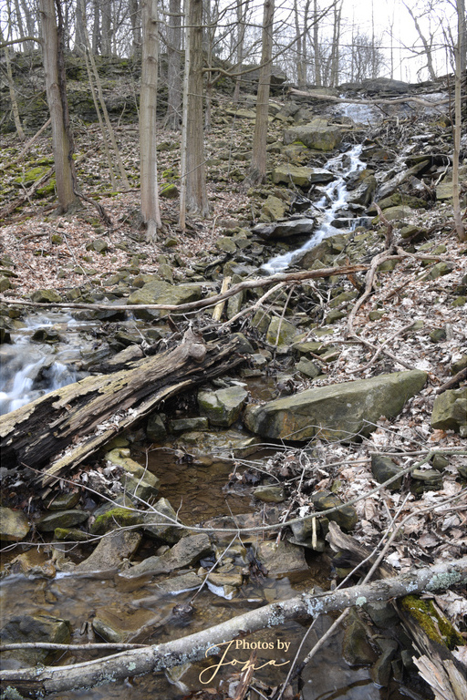 Sisters of Mary Falls