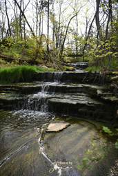 Quarry Springs Falls