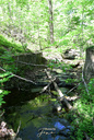 Above Baby Webster's Falls