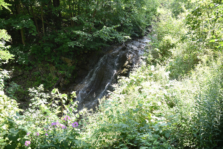 Hermitage Cascade