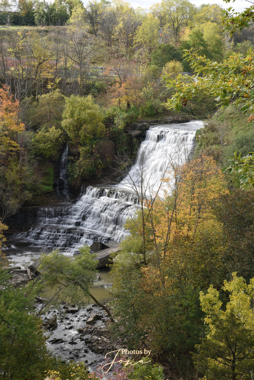 Albion Falls