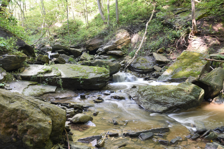 Lower Borer's Falls
