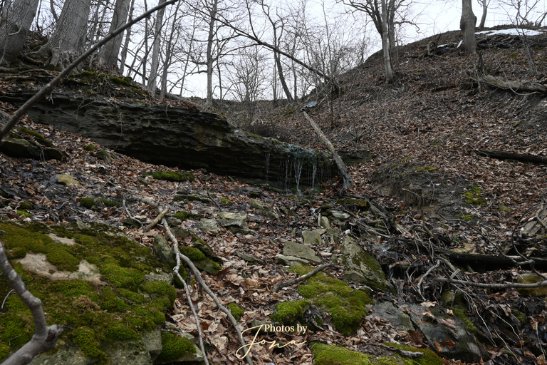 Lewis Rd. West Falls