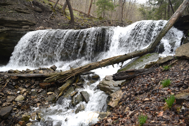 Lower Tews Falls