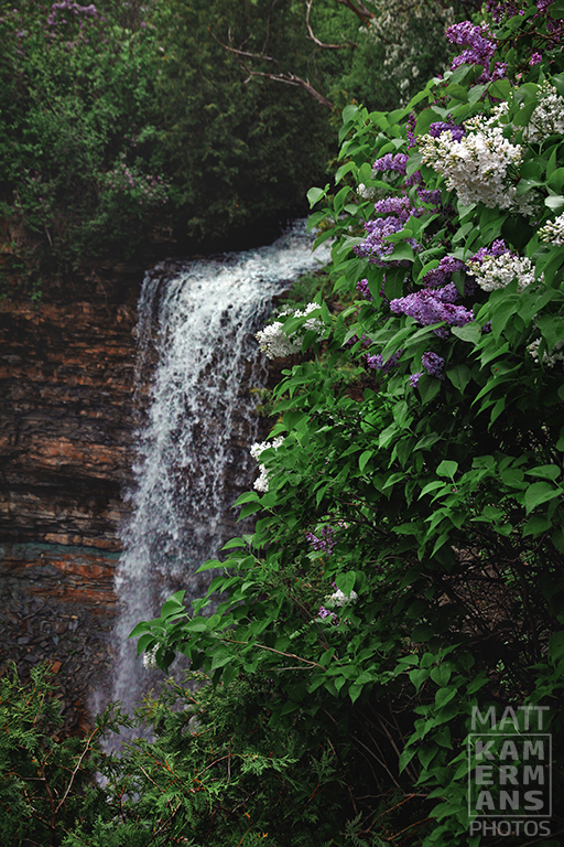 Borer's Falls