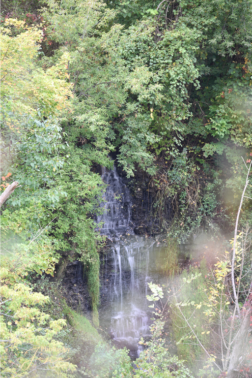Baby Albion Falls