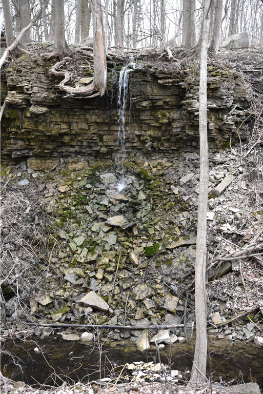 Brown's Falls