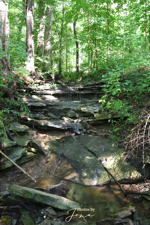 Patterson East Cascade