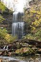 Felker's Falls