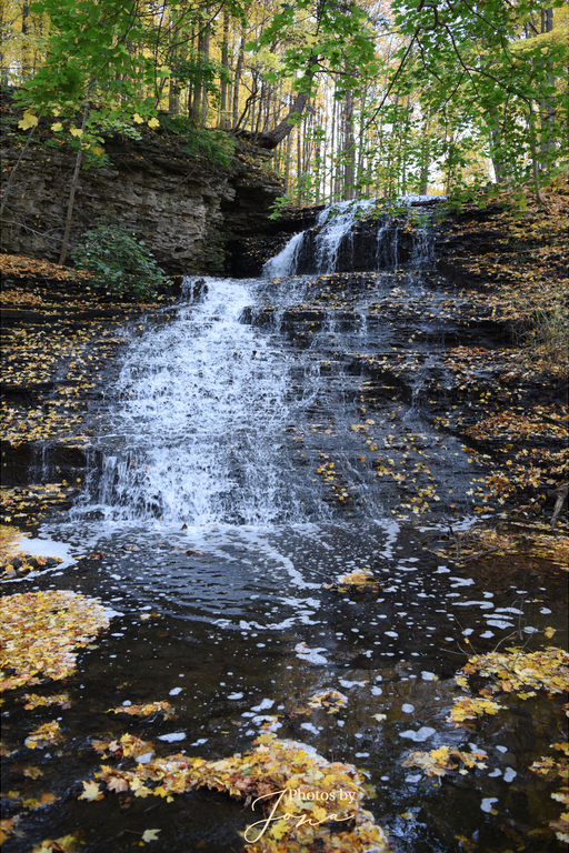 Stephanie Falls