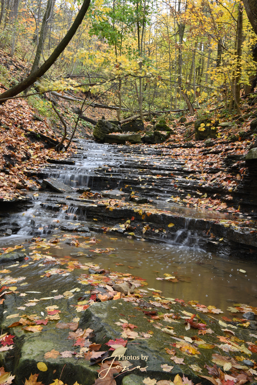 Lower Cliffview Falls