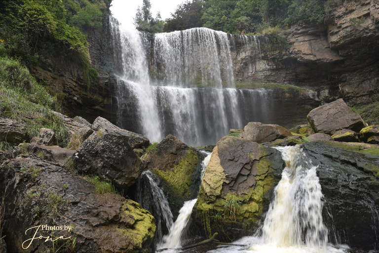Webster's Falls