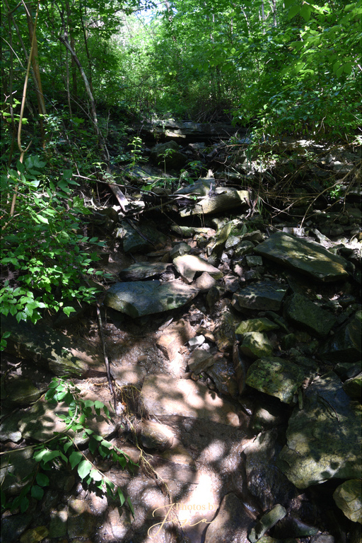 Patterson West Cascade