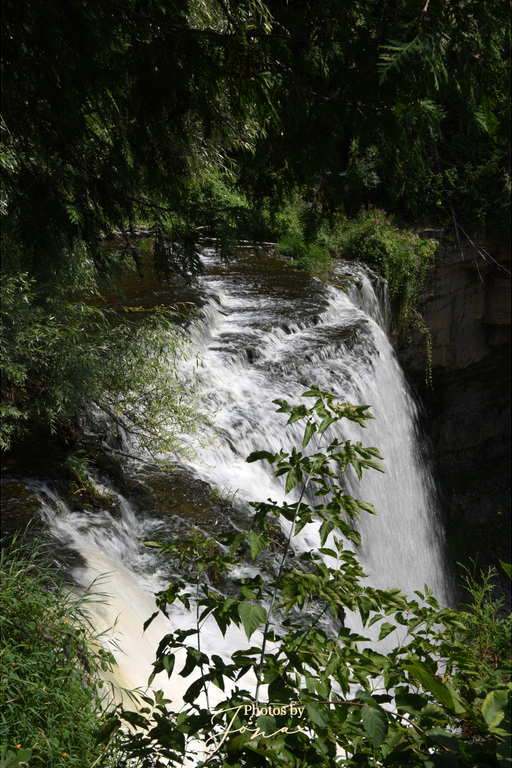 Webster's Falls