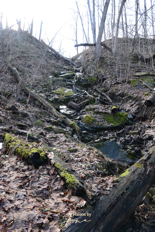 East of Fifty Falls