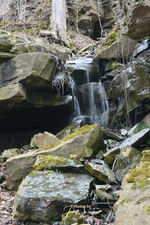 McNeilly West Falls