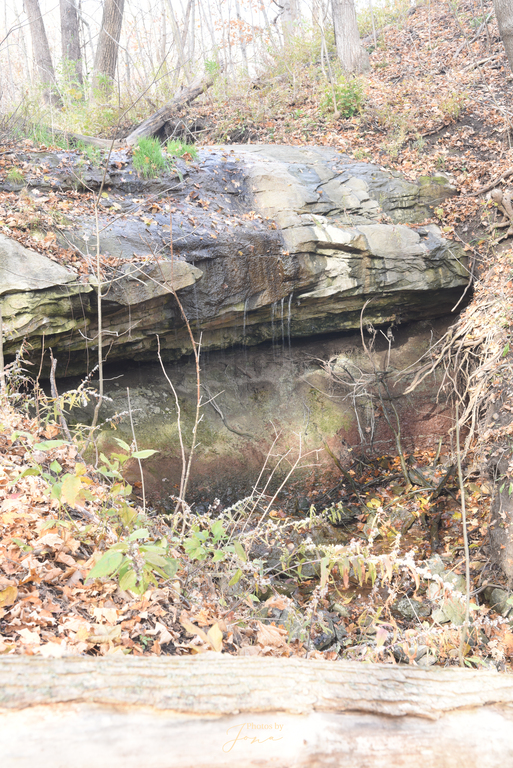 Valley Falls