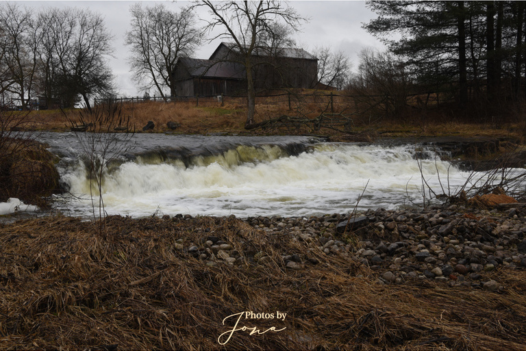 Troy Falls