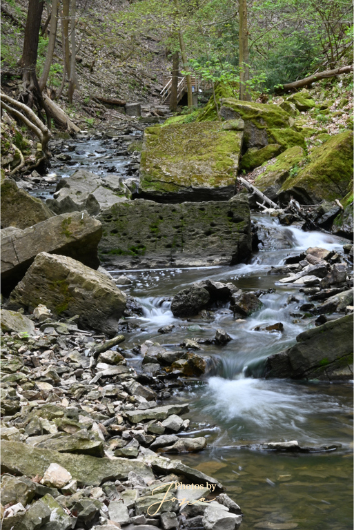 Tiffany Creek