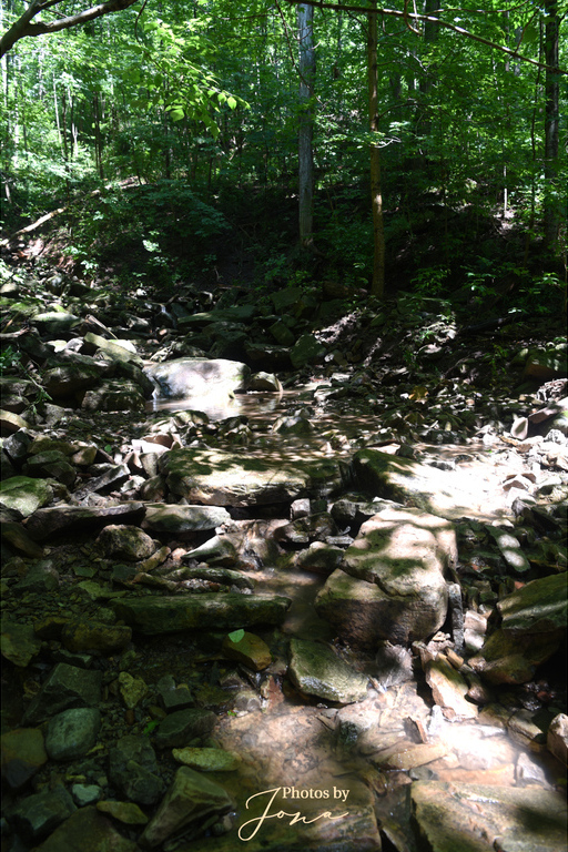 Lower Hopkins Cascade