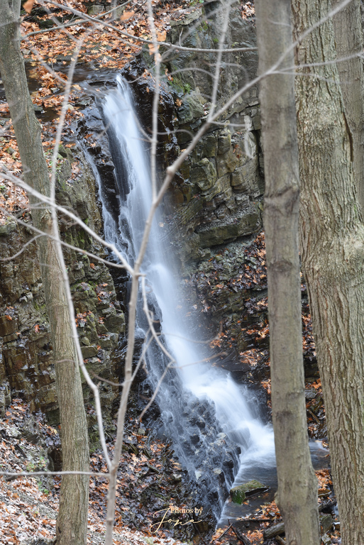 Scenic Falls