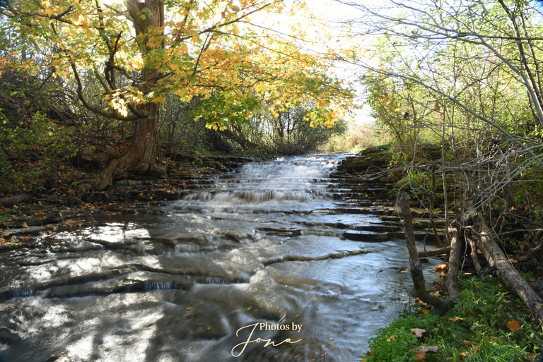 Billy Monkley Cascade