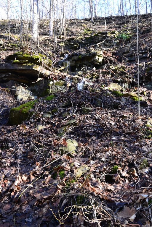 Mountain Spring Falls