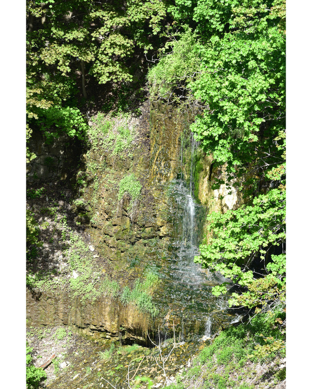 Webster's Falls - Karst feature