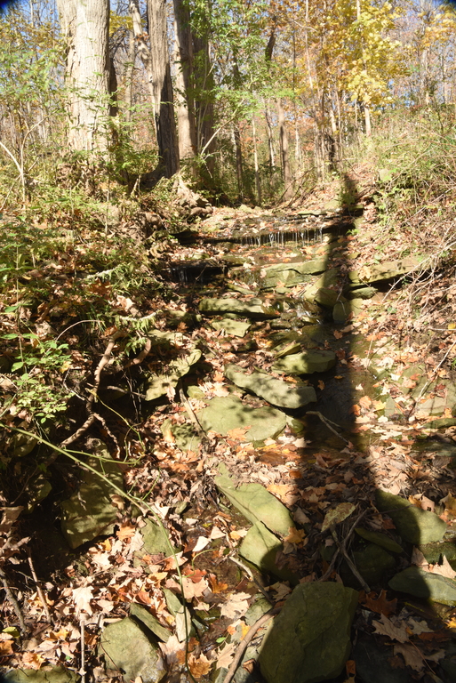 Patterson East Cascade : Autumn