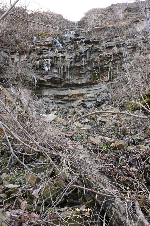 Vinemount East Falls