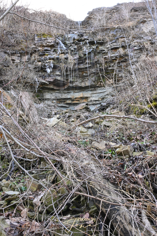 Vinemount East Falls