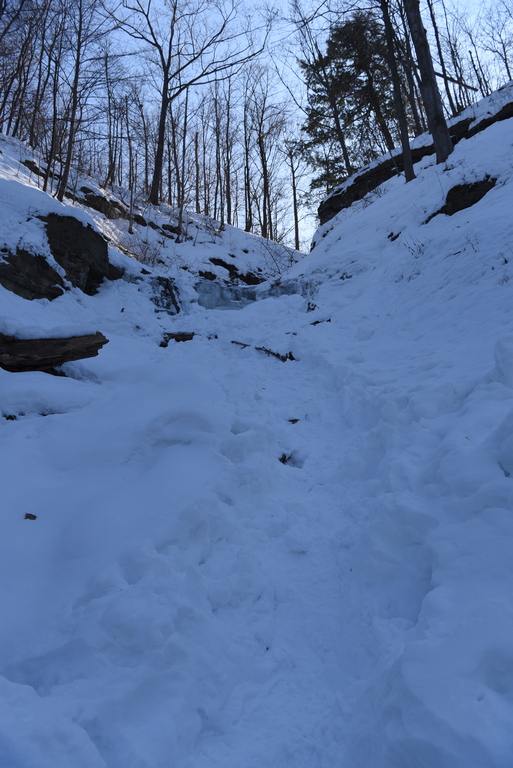 Taro Falls : Frozen