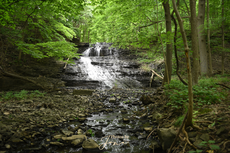 Stephanie Falls