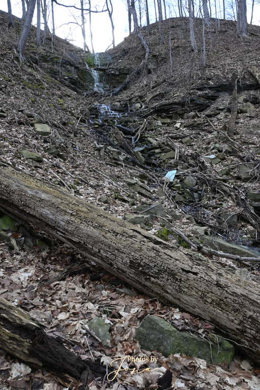 Centennial Falls
