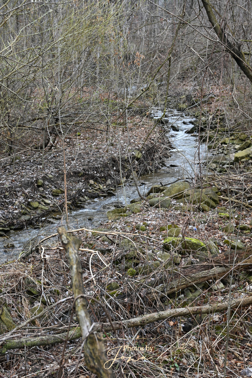 Battlefield Creek