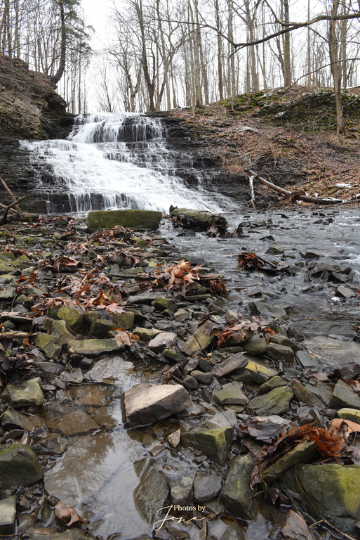 Stephanie Falls