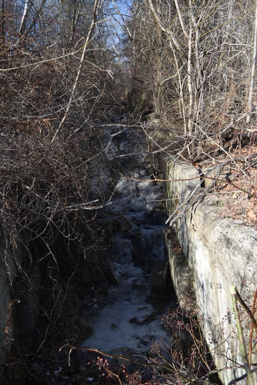 Maple Falls : Frozen