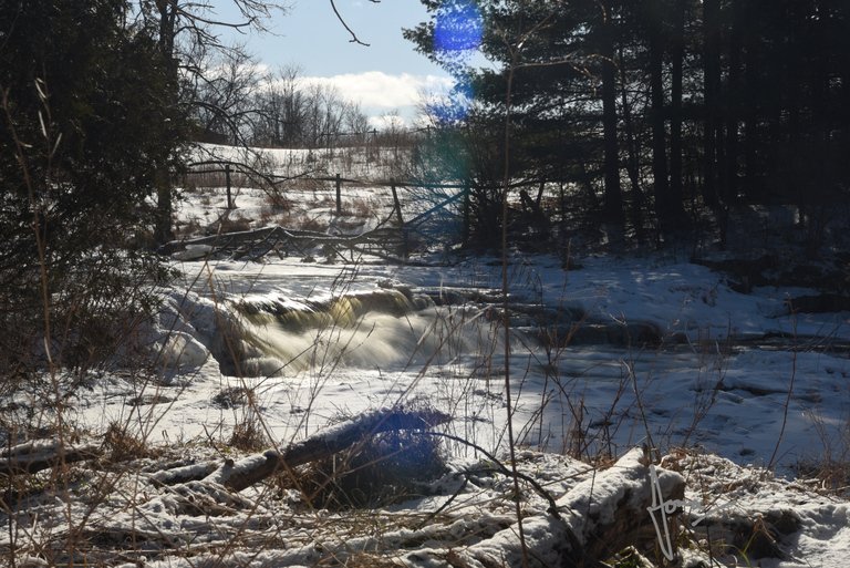 Troy Falls